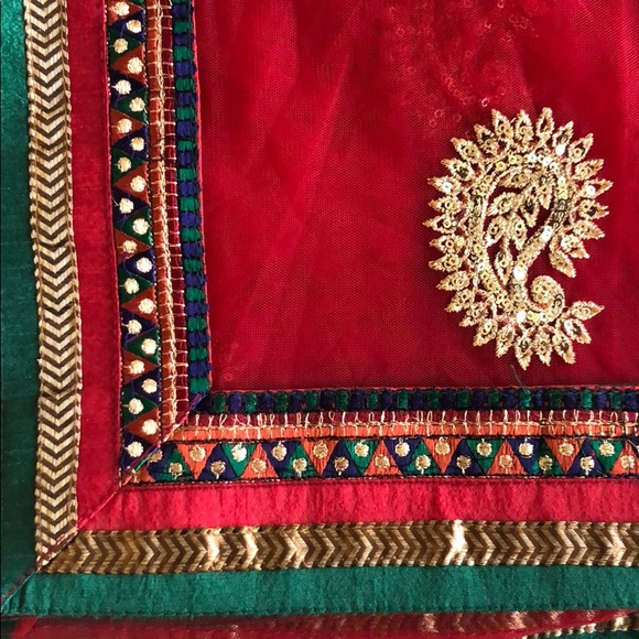 Final Sale- Indian Net Saree - Picture 2 of 8